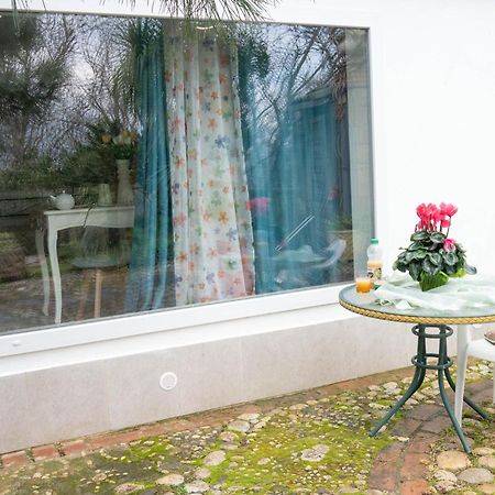 Melly'S Home San Felice a Cancello エクステリア 写真