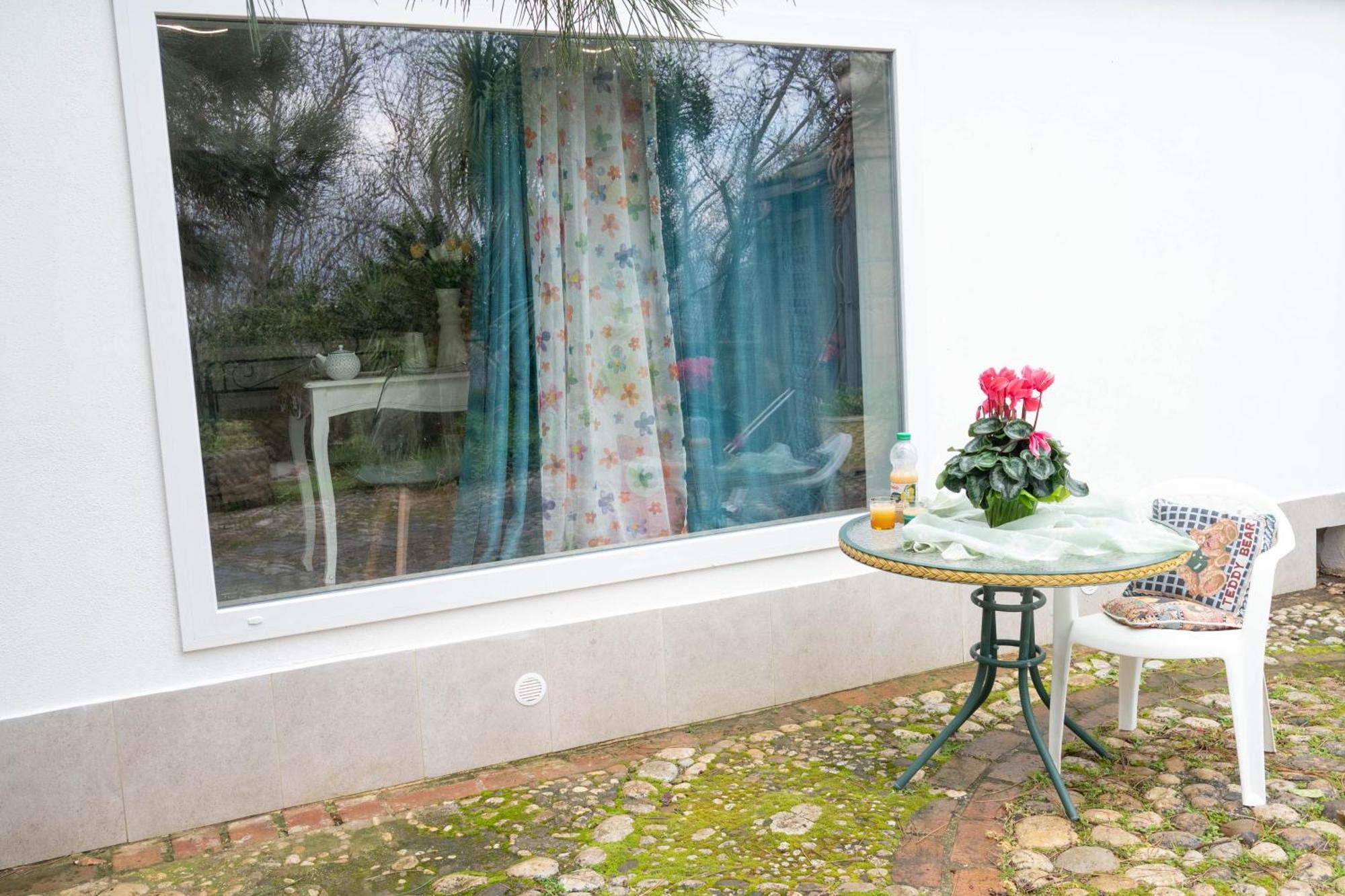 Melly'S Home San Felice a Cancello エクステリア 写真