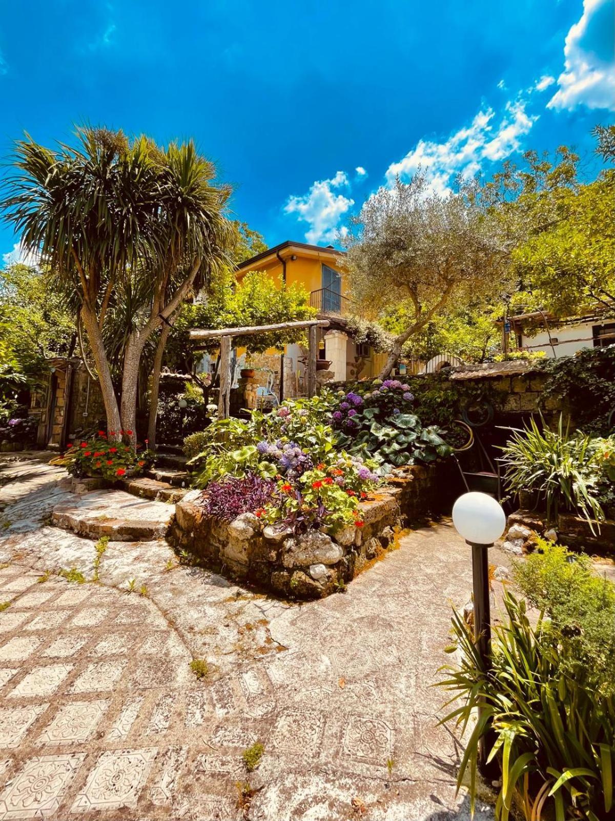 Melly'S Home San Felice a Cancello エクステリア 写真