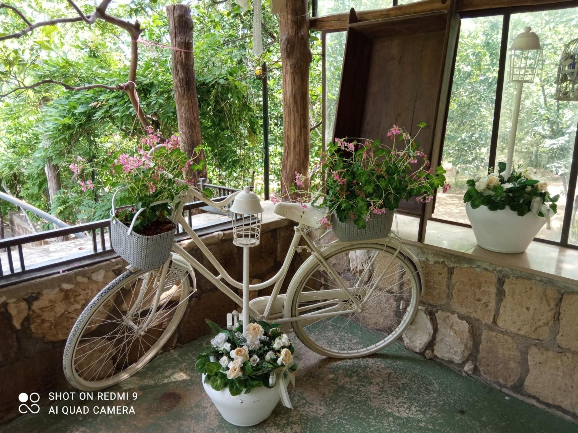 Melly'S Home San Felice a Cancello エクステリア 写真